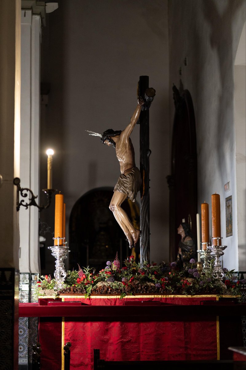 elllamadorcsr's tweet photo. El Cristo de la Buena Muerte @HdadHiniesta ya se encuentra en las andas procesionales en las que será trasladado el próximo lunes a la catedral para presidir el Vía Crucis Penitencial de las Hermandades de Sevilla. @ElConsejoSev 

Las andas lucen faldones de damasco y terciopelo granate confeccionados por Francisco Javier Sosa Sánchez y se iluminan con cuatro hachones de cera tiniebla en portahachones de metal plateado de Manuel Seco Velasco (1952) que pertenecieron al anterior paso del Santísimo Cristo, propiedad desde 1971 de la Hermandad de la Vera Cruz de Tocina, que amablemente los ha cedido para la ocasión. 
El llamador de metal plateado es de Manuel Seco Velasco (década de 1950). 
El exorno floral incluye allium, tranchelium, anémonas, hedera, mini gerberas, tulipanes, rosas, pittosporum, dracena sanderiana, astilbe y flor de cera. 
El Cristo porta potencias de plata de Manuel Seco Velasco (década de 1950).

📷 José Campaña y Alejandro Ruesga Fontelo