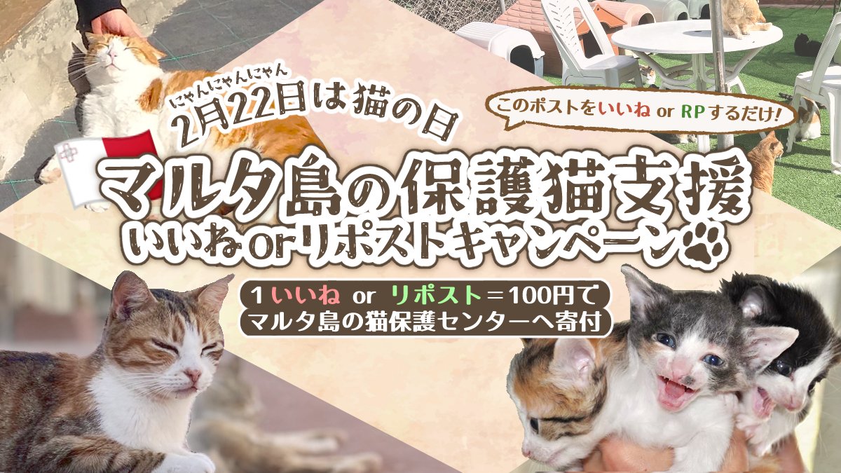 いいねorリポストで #マルタ の保護猫支援🐈／ 2月22日は #猫の日 この