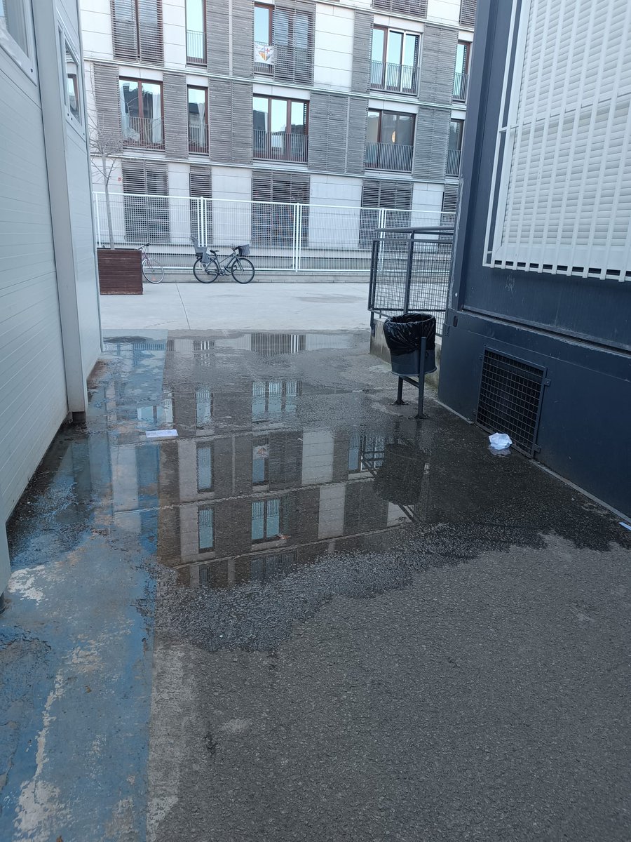 eva dallo tweet media