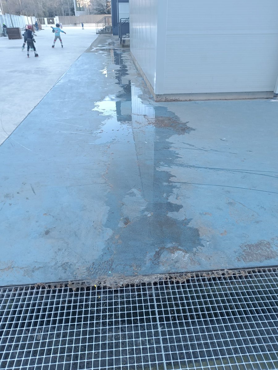 eva dallo tweet media