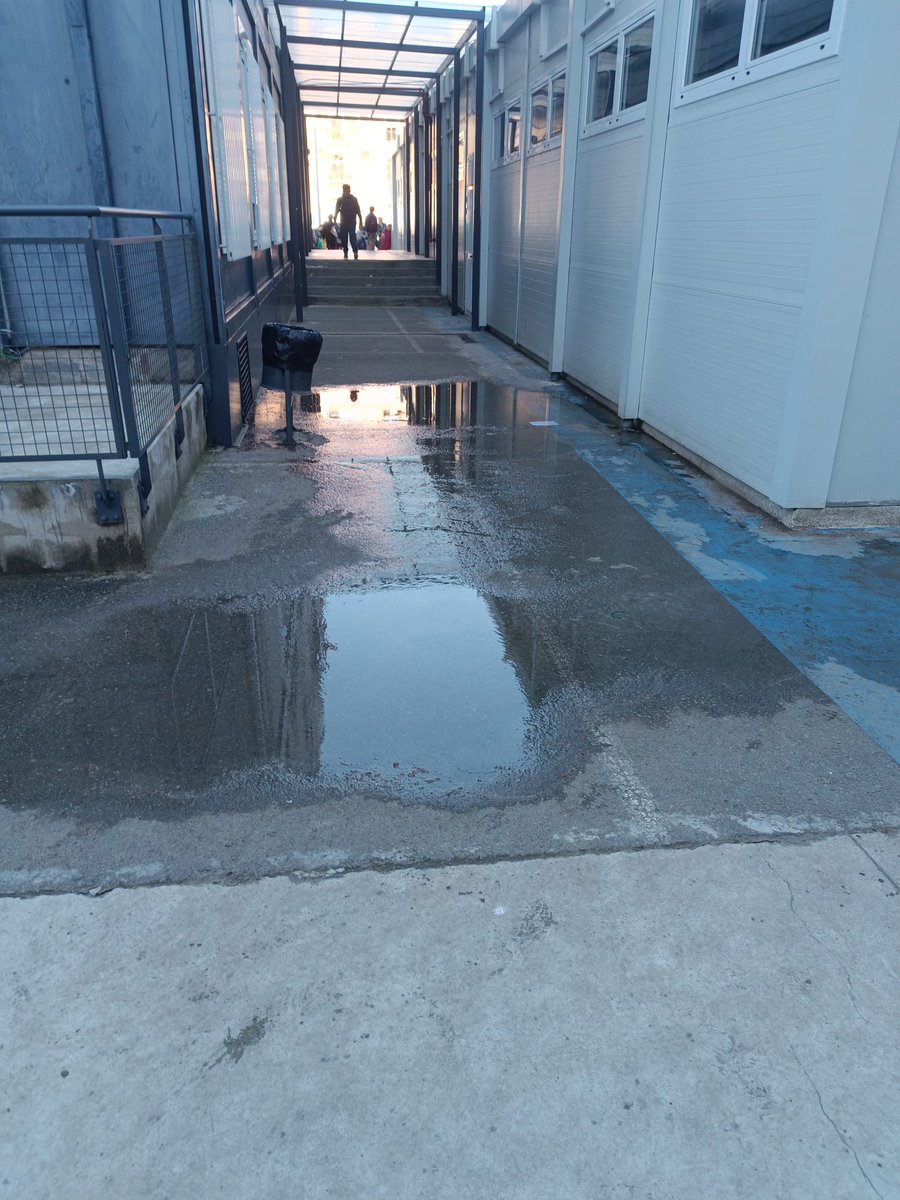 eva dallo tweet media