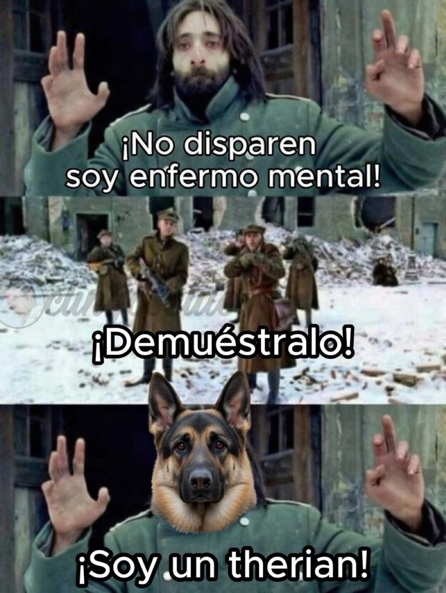 Zolxoníssimo (@eduardobr77) on Twitter photo 