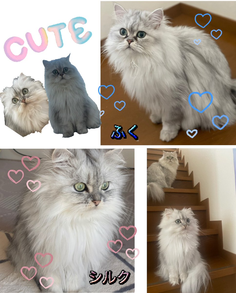 ダイナム榛原店 Since.2003.3.31 tweet media