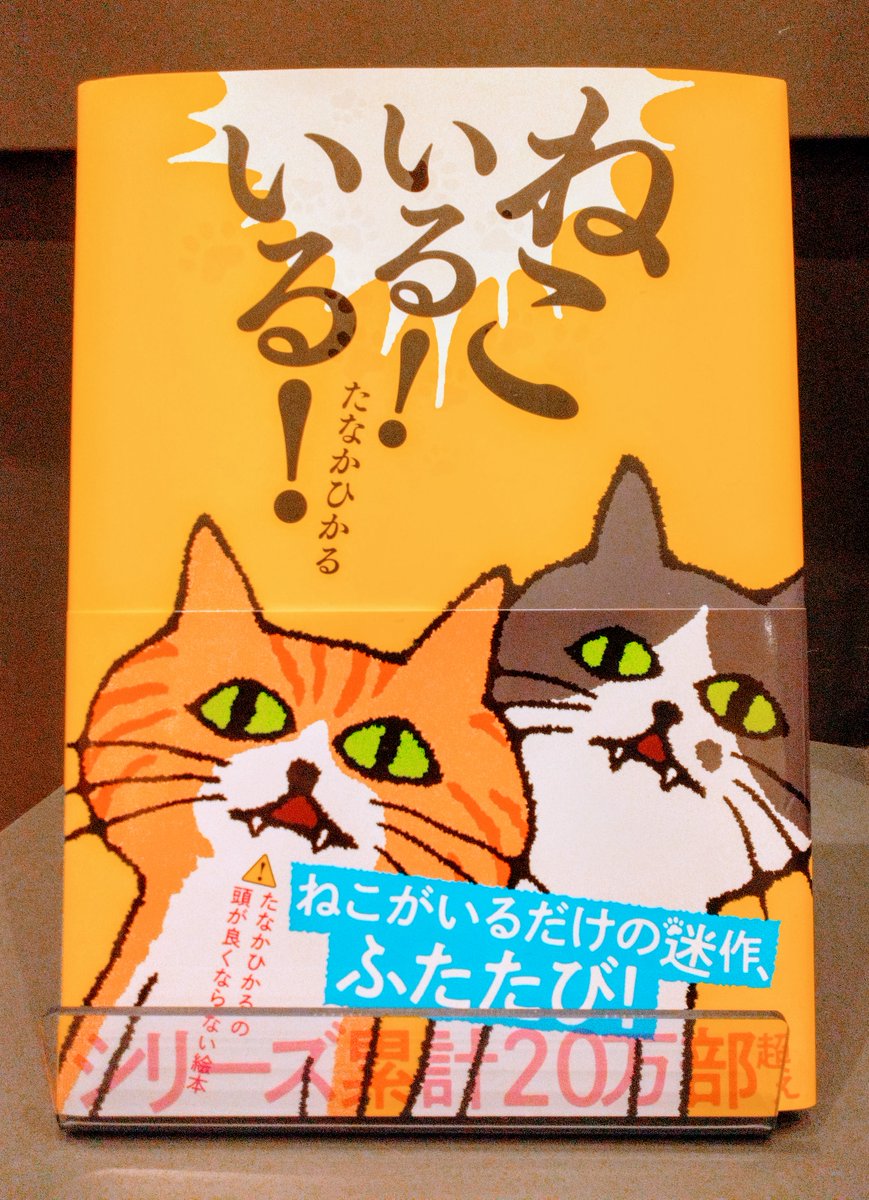 おすすめ絵本＊ 「ねこいる！いる！」 絵本「ねこいる！」の第2弾