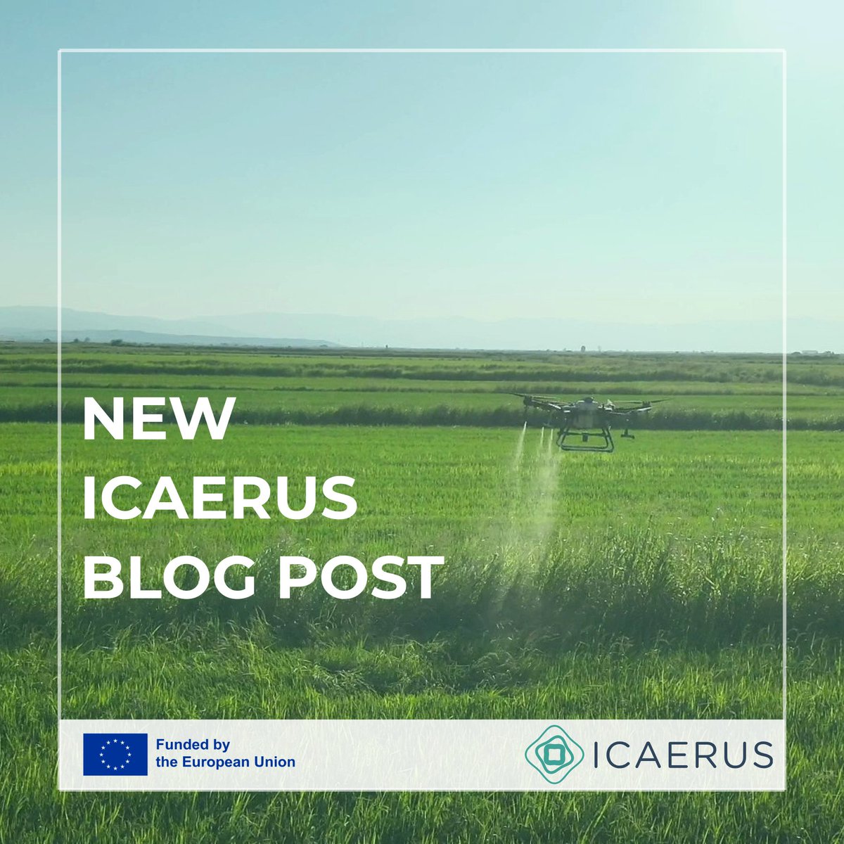 ICAERUS tweet media