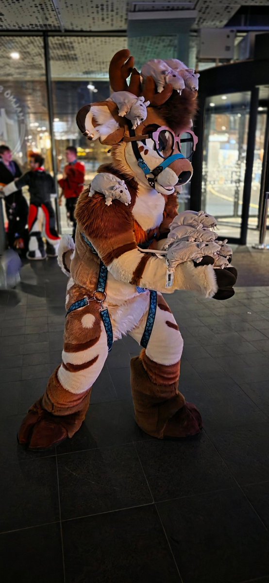 Damn I guess my handle bars have gotta be useful for something... 

#NordicFuzzCon #NFC2026