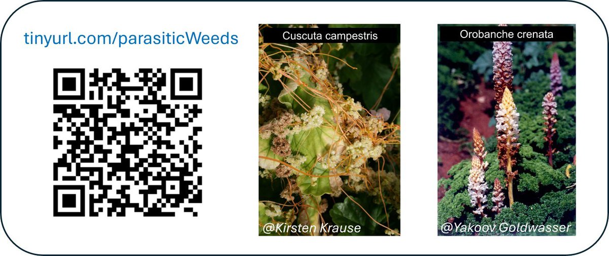 John Cussans tweet media