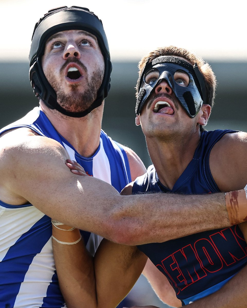 From Gotham City to Casey Fields 🦇