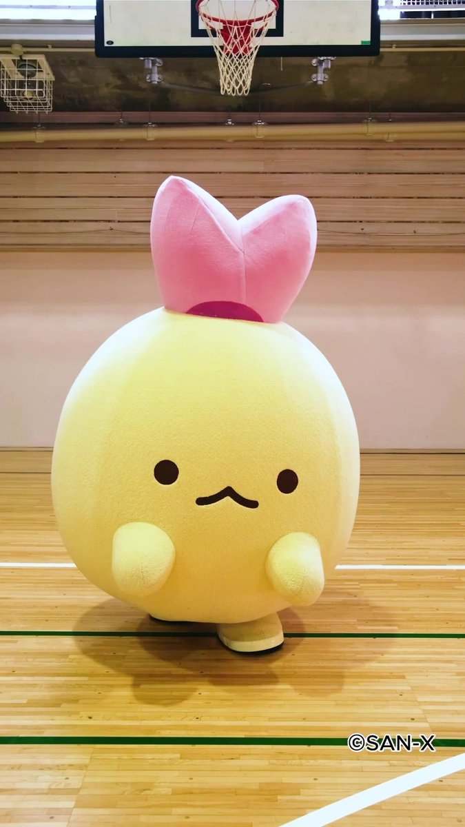 サンエックス【公式】 (@sanx_official) / Posts / X