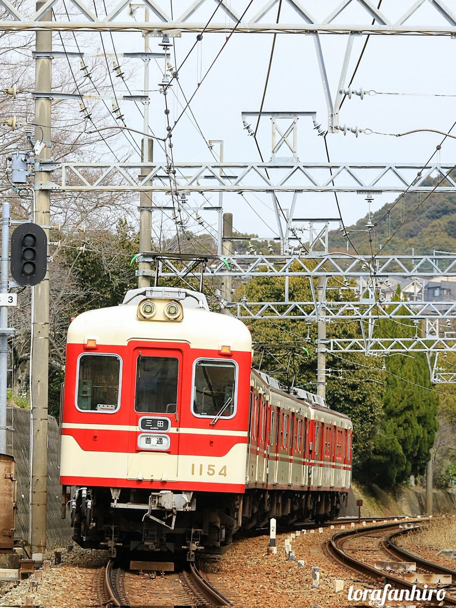 ヒロさん (@torafanhiro) / Posts / X