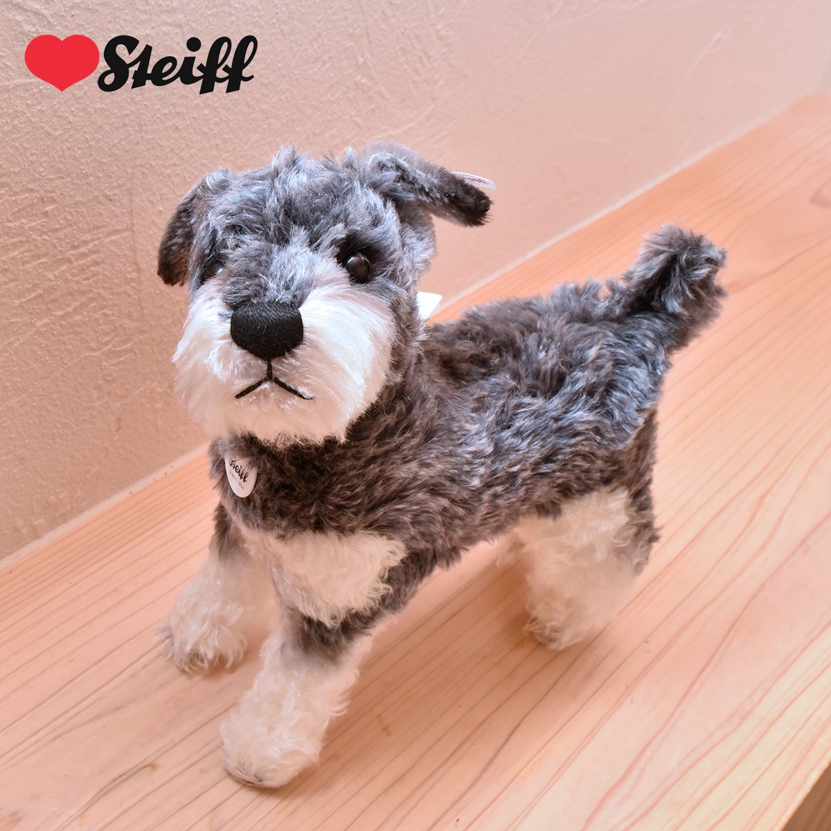 人気のシュナウザーくんがラブシュタイフにお目見えしました💛 最高級