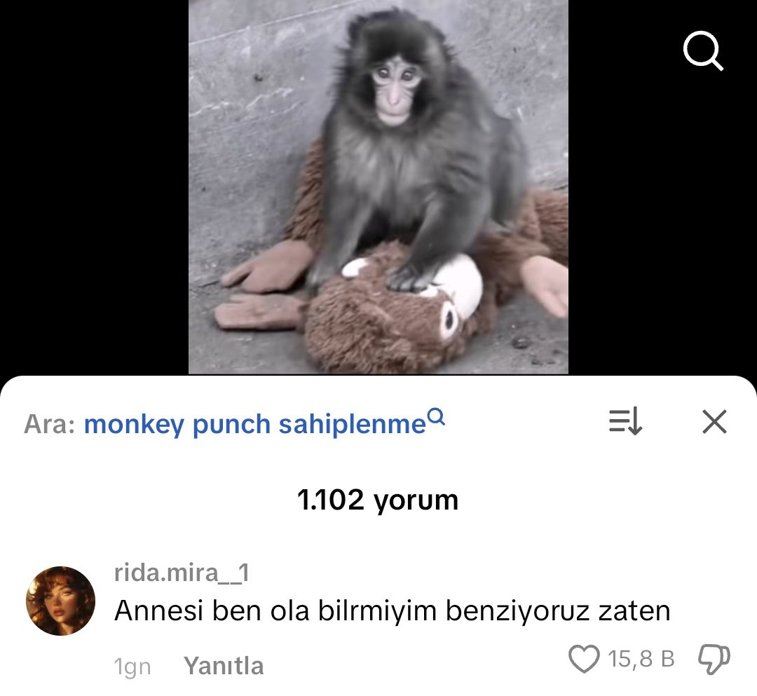 sümeyra tweet media