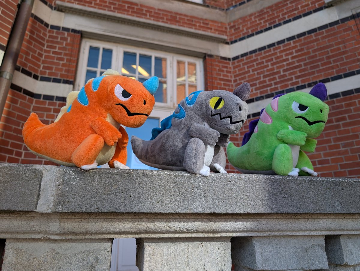 Cat and Cockatoo tweet media