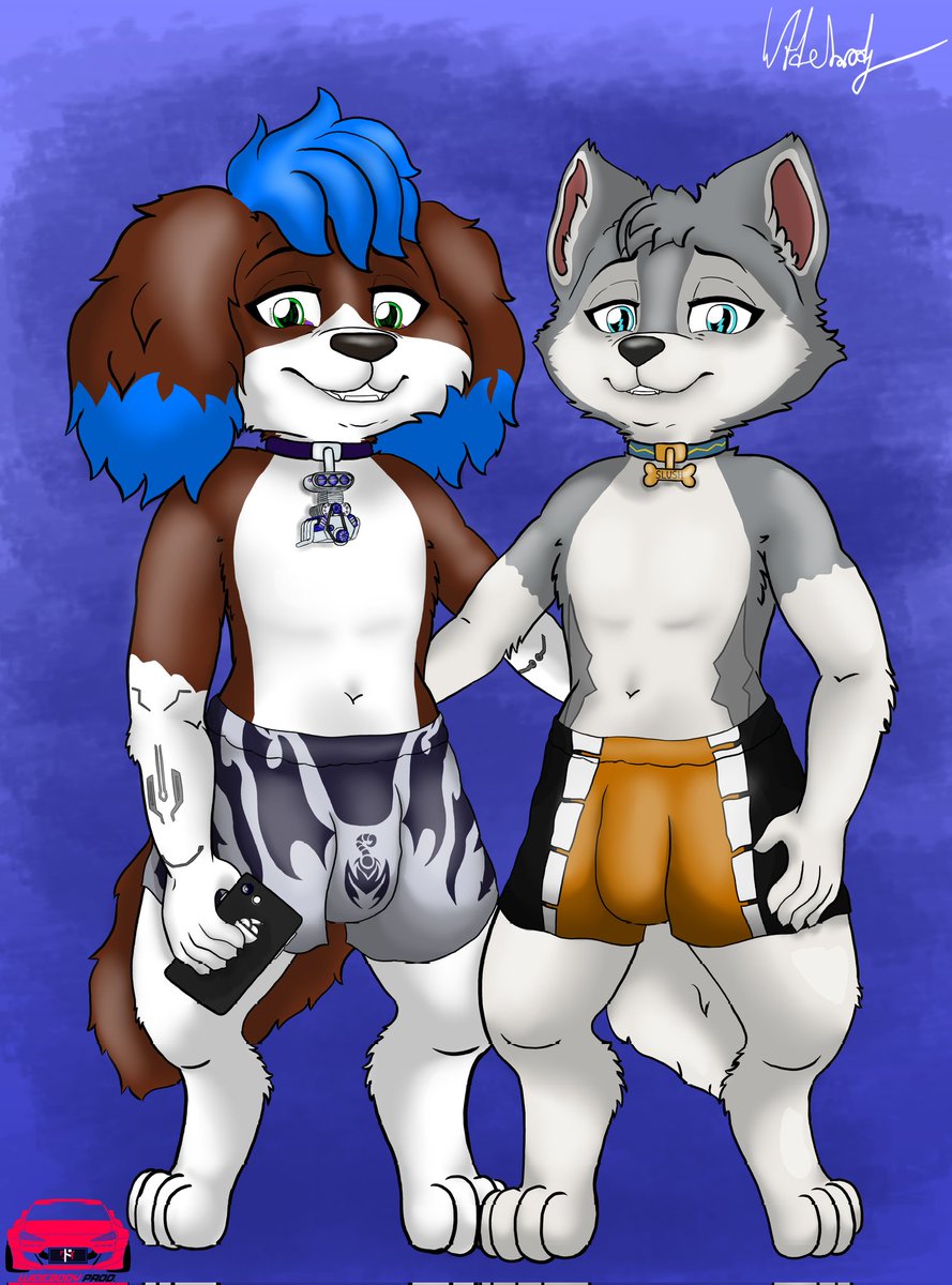 Widebody tweet media