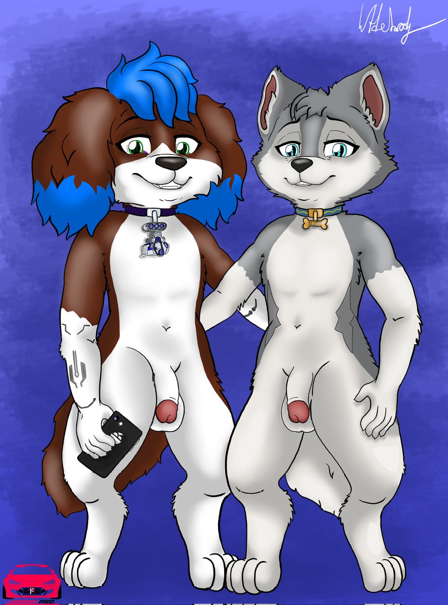 Widebody tweet media