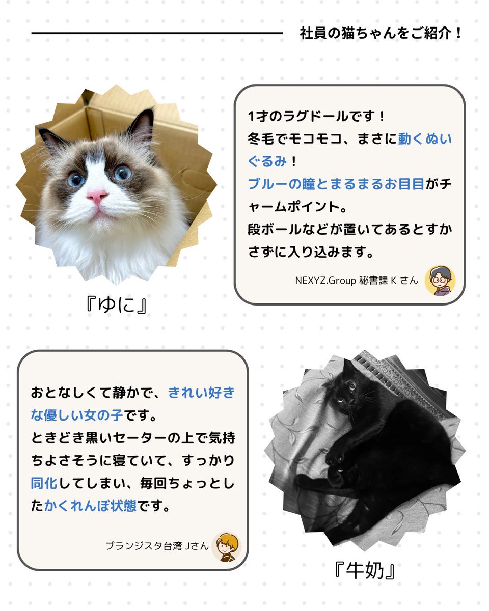 note 記事公開／ 「猫の日特集2026🐱 もふもふ12選！社員のねこちゃん