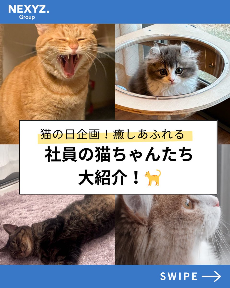 note 記事公開／ 「猫の日特集2026🐱 もふもふ12選！社員のねこちゃん