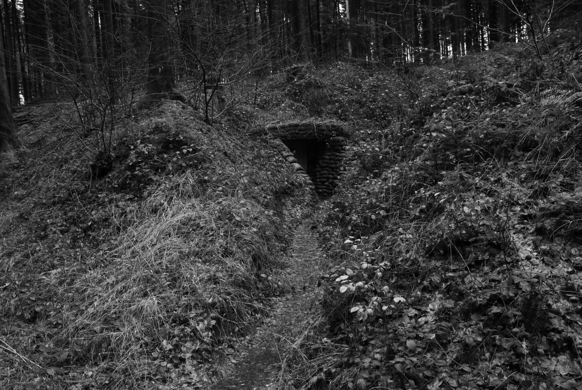 Discovering the frontline and beyond. tweet media