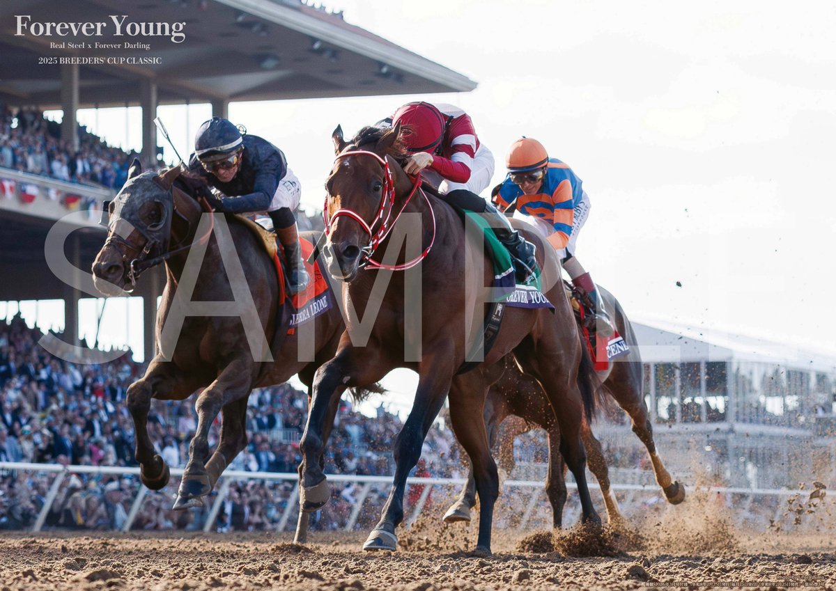 ターフィーショップ_JRA競馬グッズ (@JRA_PRC) / Highlights / X