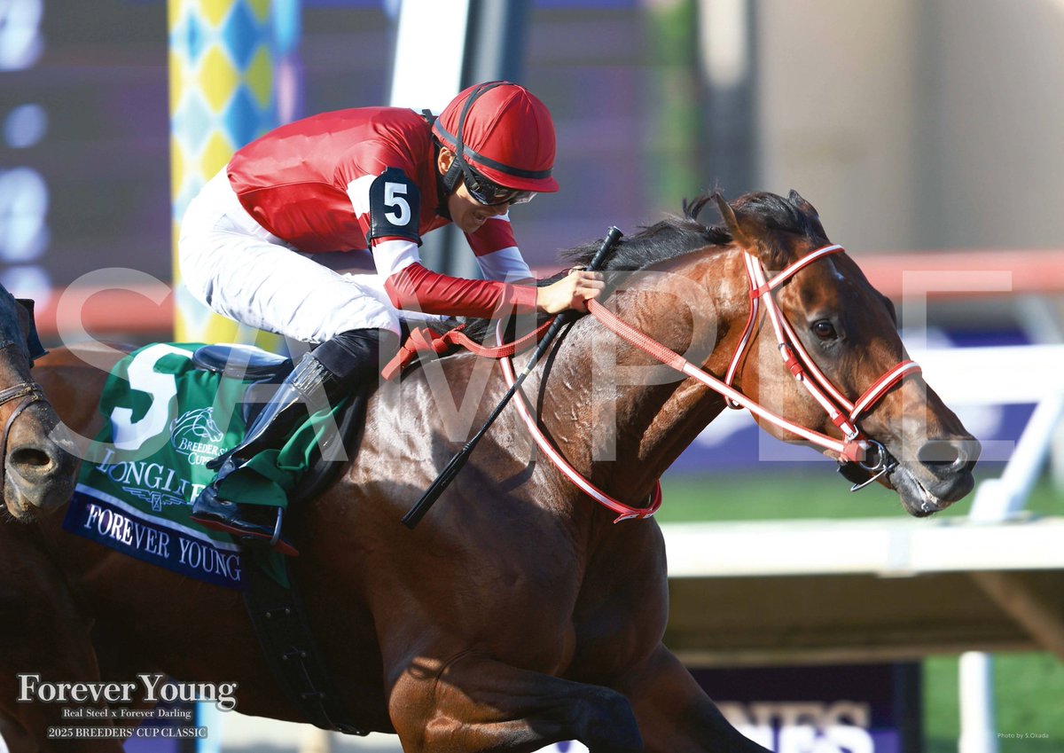 ターフィーショップ_JRA競馬グッズ (@JRA_PRC) / Highlights / X