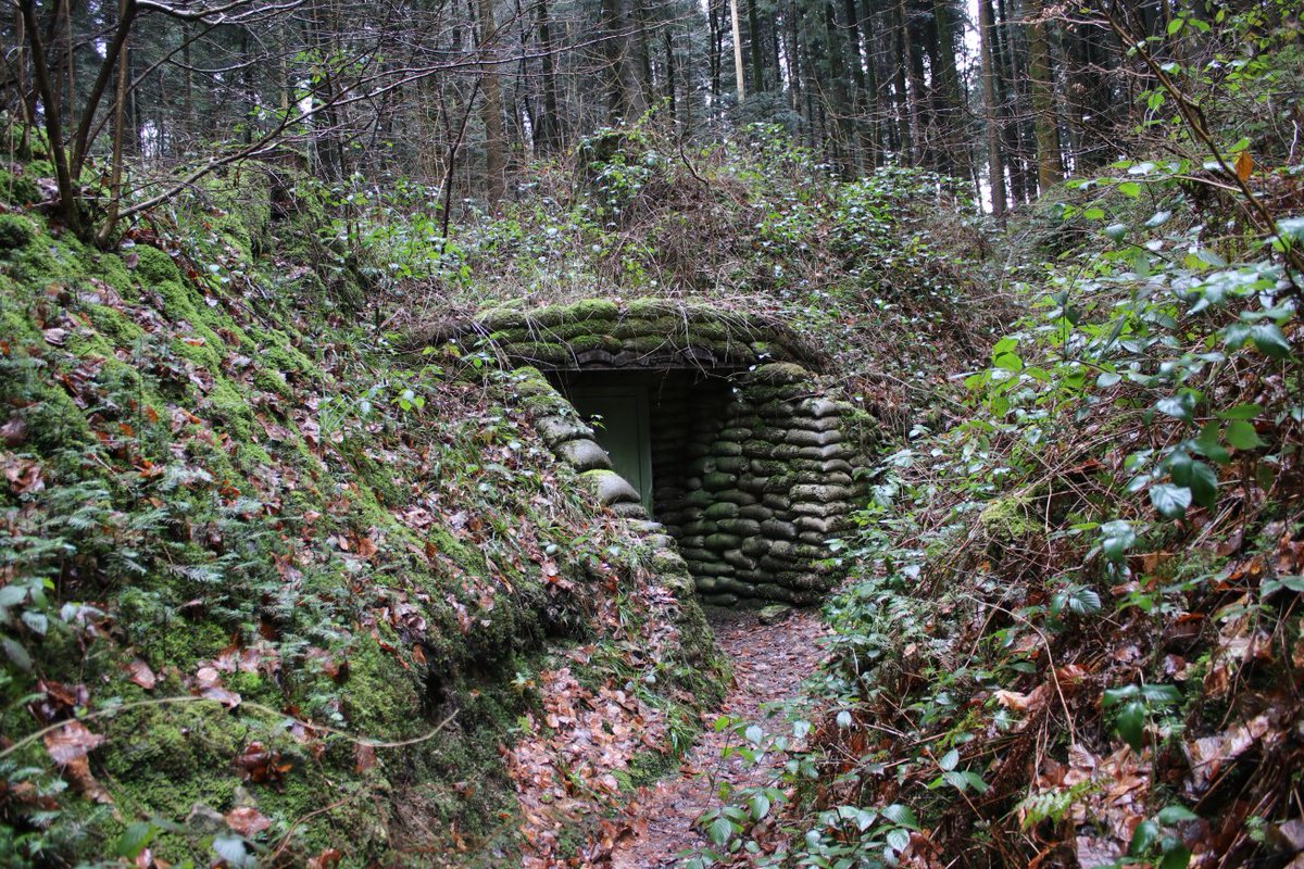 Discovering the frontline and beyond. tweet media