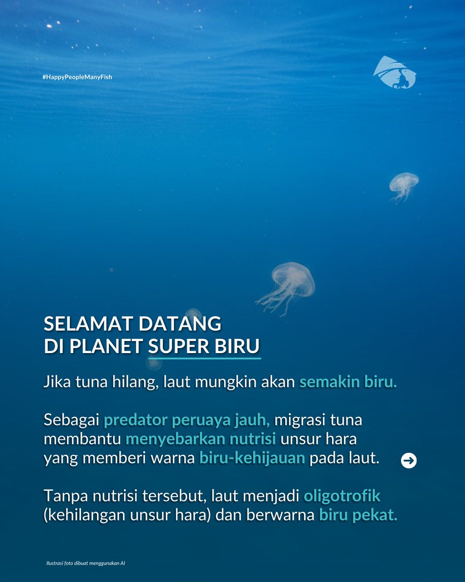 MDPI Foundation tweet media