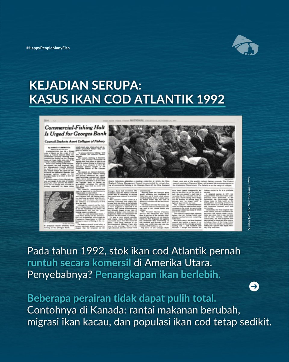 MDPI Foundation tweet media