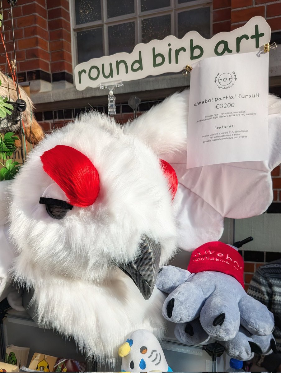 Doreen 💚 tweet media