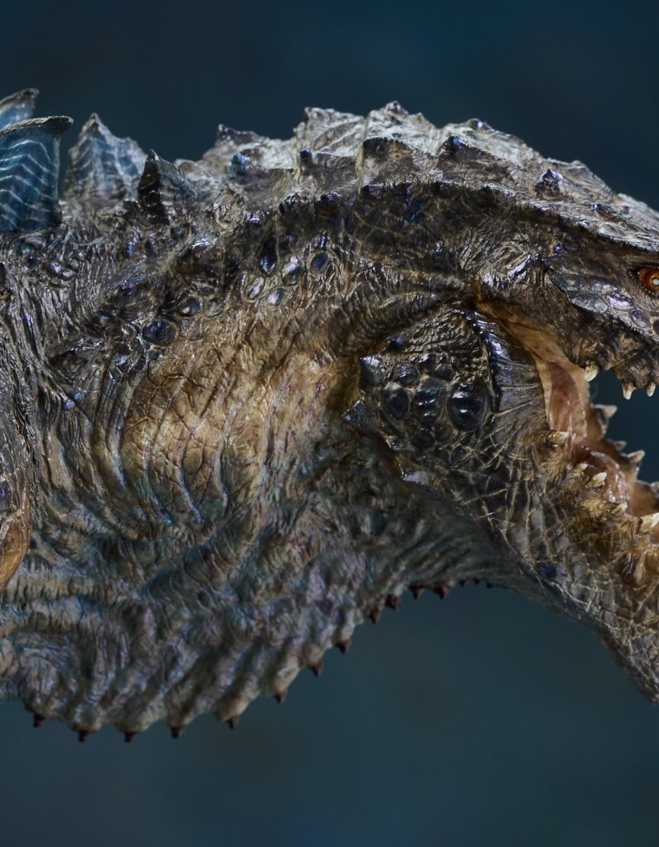 Spiral Studio tweet media