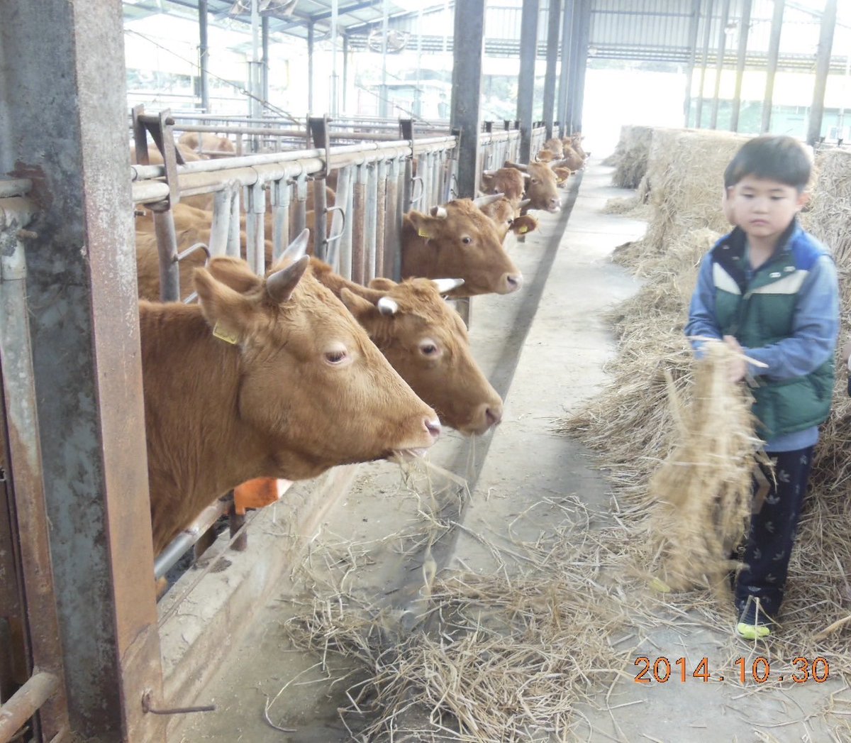 잠만......
김도하 2014년에 이렇게 애기였다고?????? 🤦🏻‍♀️🤦🏻‍♀️