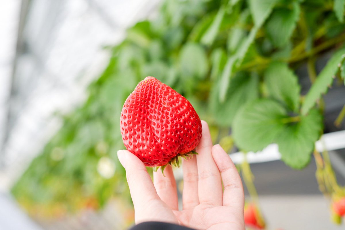 大阪エクセルホテル東急 tweet media