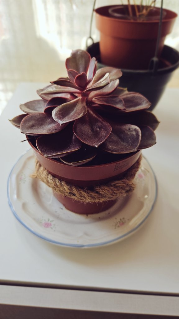 🍂🍁ⓒⓔⓚ🍁🍂 tweet media