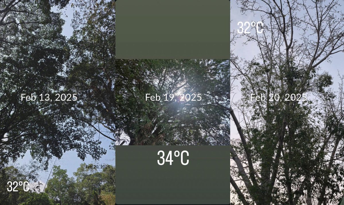 ฟังสัมคุณโบว์ (10 ก.พ.) บอกว่าช่วงนี้ถ่ายหนังที่กาญ เบิ้ลเริ่มลง 13 ก.พ. แม่อยากจะถามว่าใช่ป่าแถวกาญมั้ยลูกกกก 🥹