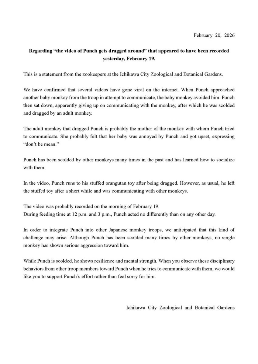 Ichikawa Zoo addresses the video of Punch getting attacked by an older monkey in his troop:

“The adult monkey that dragged Punch is probably the mother of the monkey with whom Punch tried to communicate. She probably felt that her baby was annoyed by Punch and got upset.”