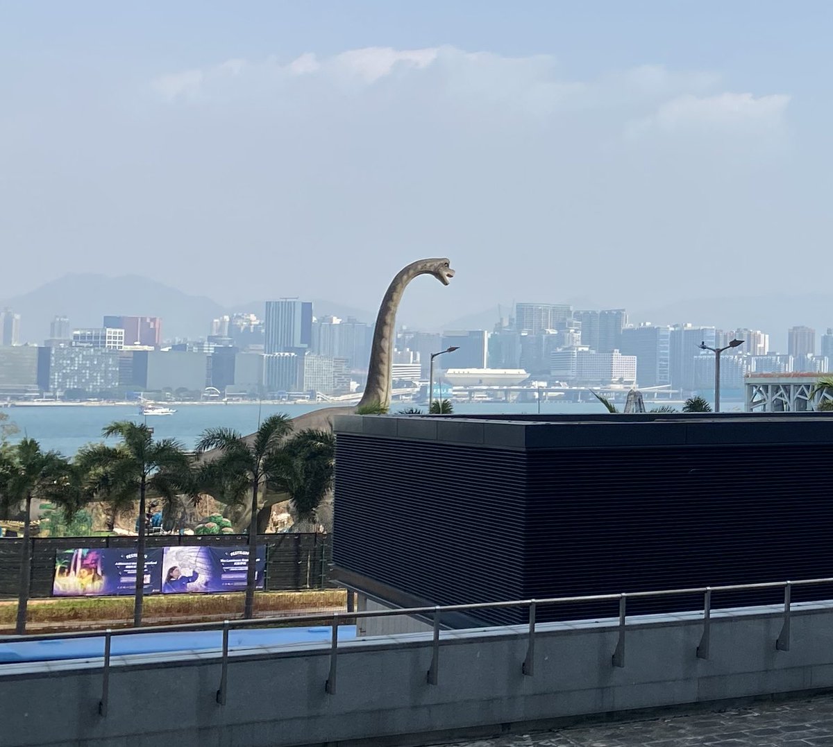 只是半年沒回香港
怎麼養了隻恐怖