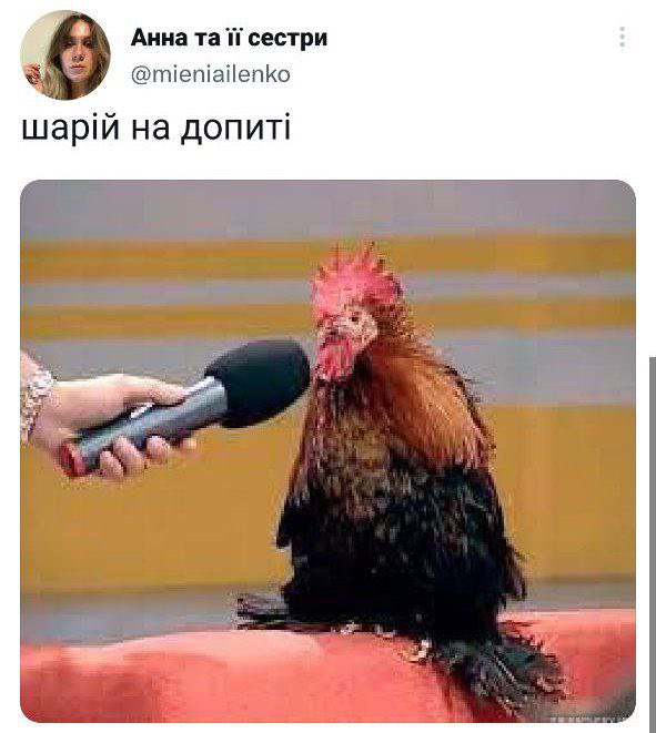 Vladyslav Heraskevych OLY tweet media