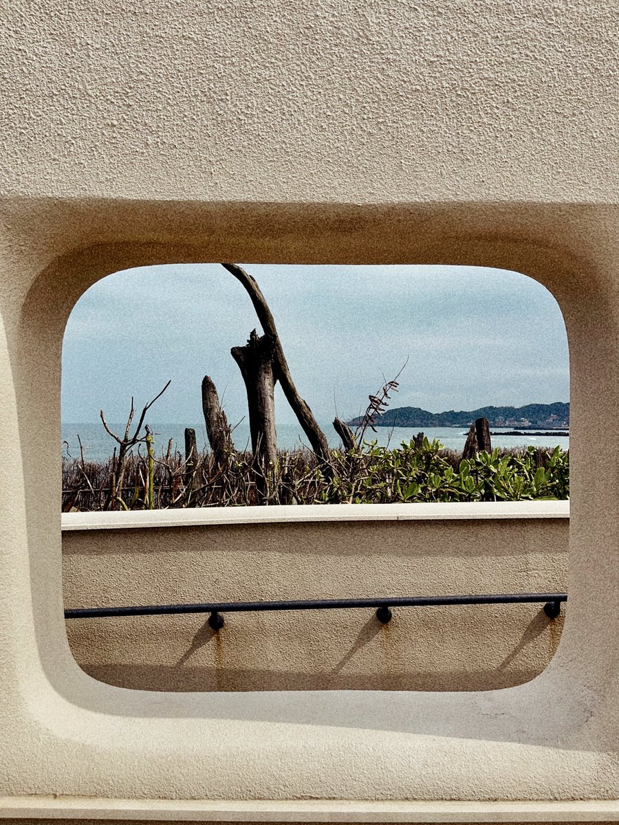 ablackeyehere's tweet photo. 陰天的北海岸，
氣溫涼冷怡人。

每一次快門
都罩上了一層玫瑰色濾鏡。 https://t.co/oWJOoIs0YR