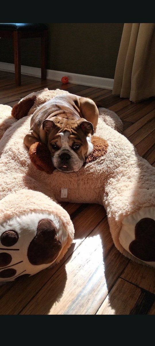 Alex Sardinas tweet media