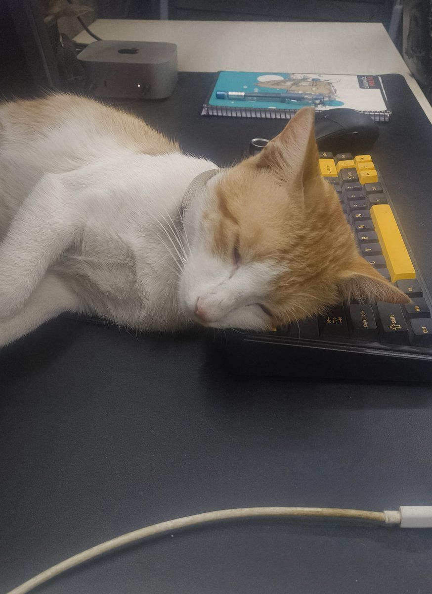 he is my cofounder btw