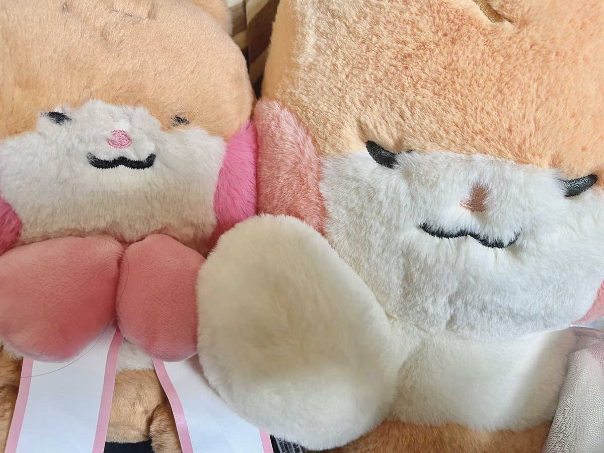 ギャンぎゃわぶっ倒れキューアグ起こしちゃう