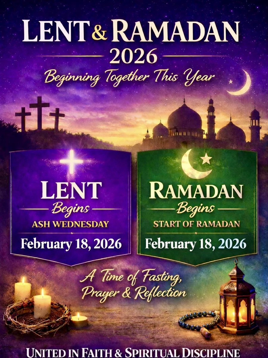 Fatina Salaheddine tweet media