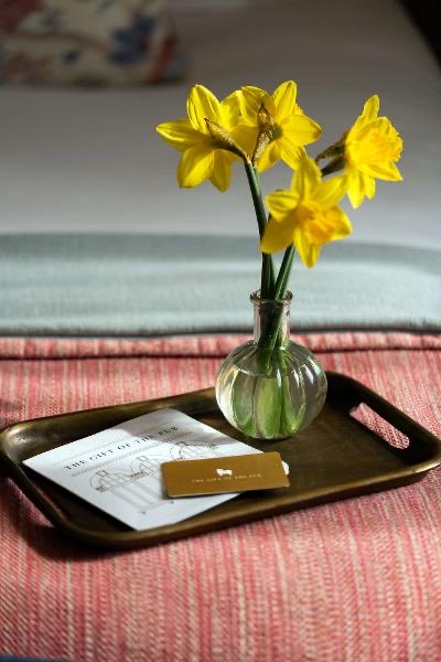 BrookGreenHotel's tweet photo. Treat Mum this Mother’s Day to the gift of the pub 💐We’ll be serving up delicious Sunday roasts!

Why not surprise her with a Young’s pub voucher too? She can enjoy it right here in the heart of Hammersmith.

Book now and make Mum’s day one to remember✨

#youngspubs #mothersday https://t.co/xaonP6Wg4U