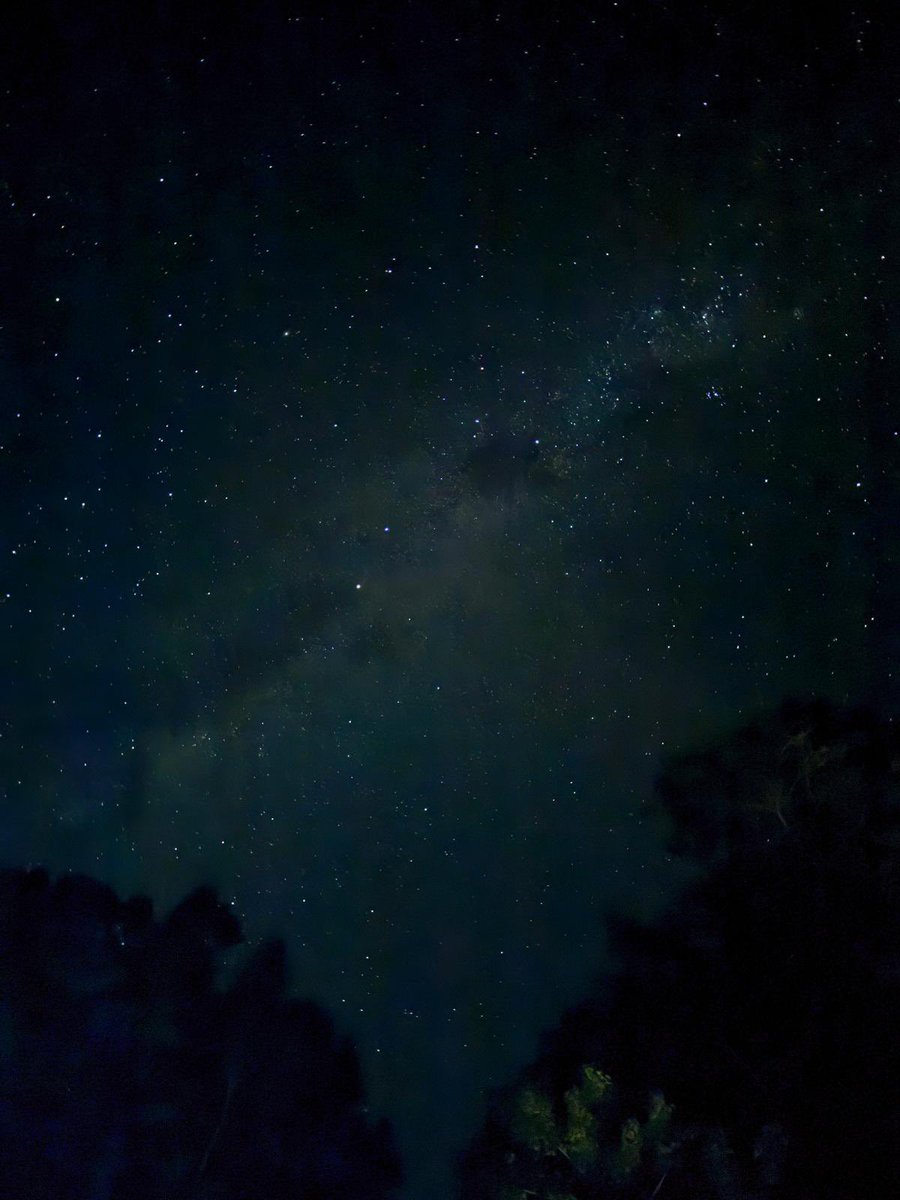 Greg Kidd tweet media