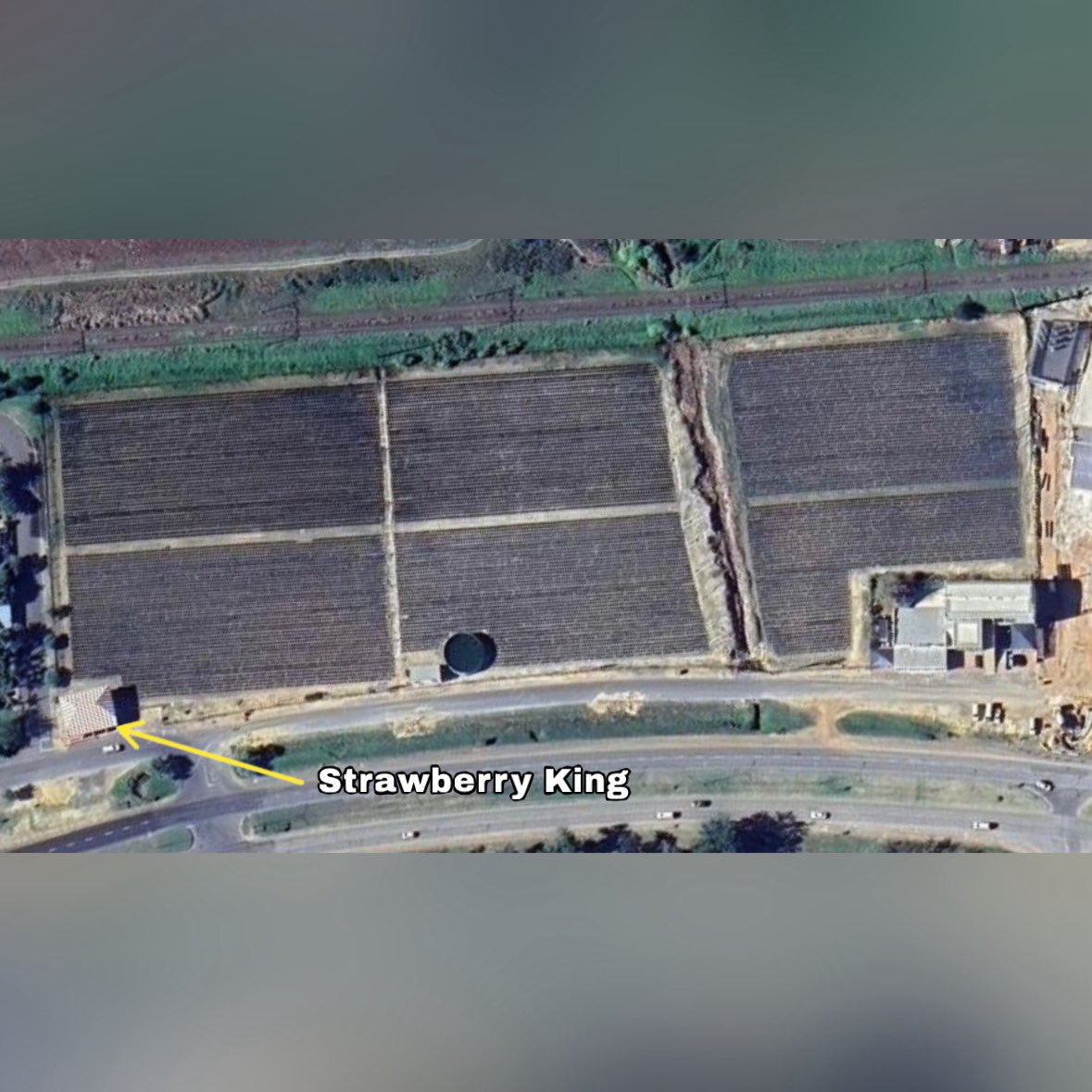 thevillageguy tweet media