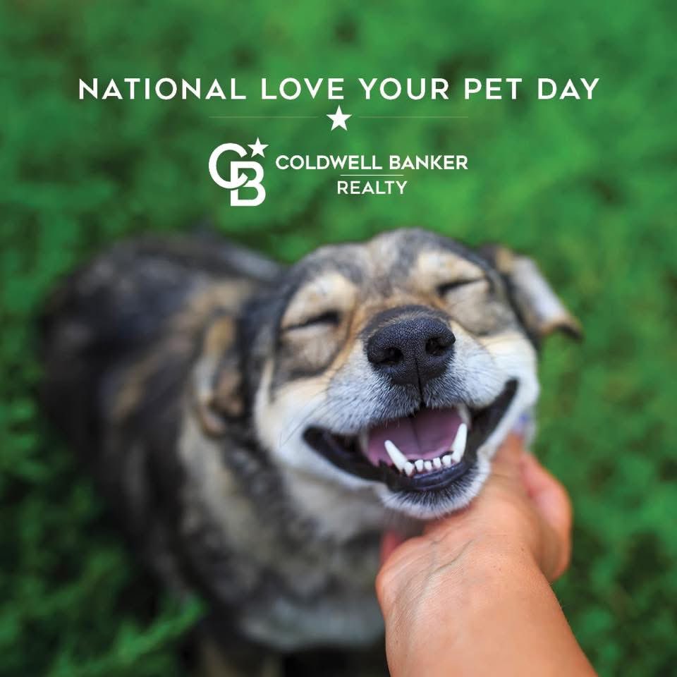 MarkRediehs's tweet photo. Everyday is love your pet day!❤️ https://t.co/9Cej6gsQI8