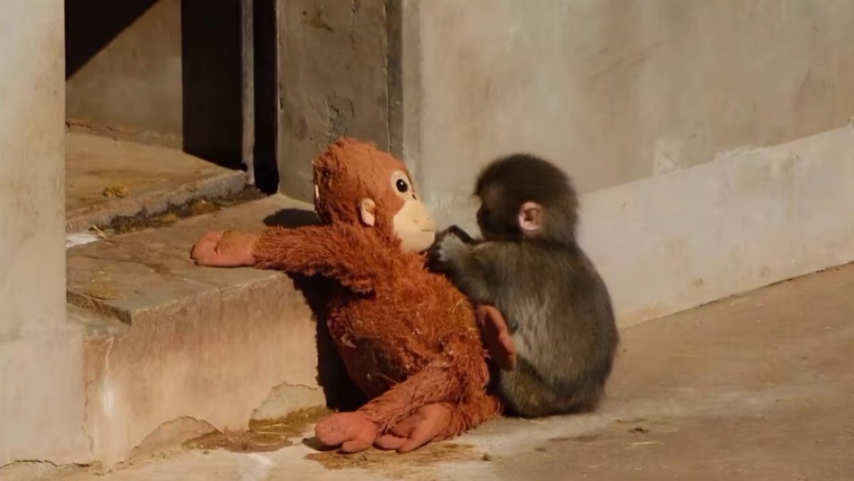 Que aprendas a amarte lo suficiente como para que ya no busques el amor que anhelas en otras personas, lugares o cosas.