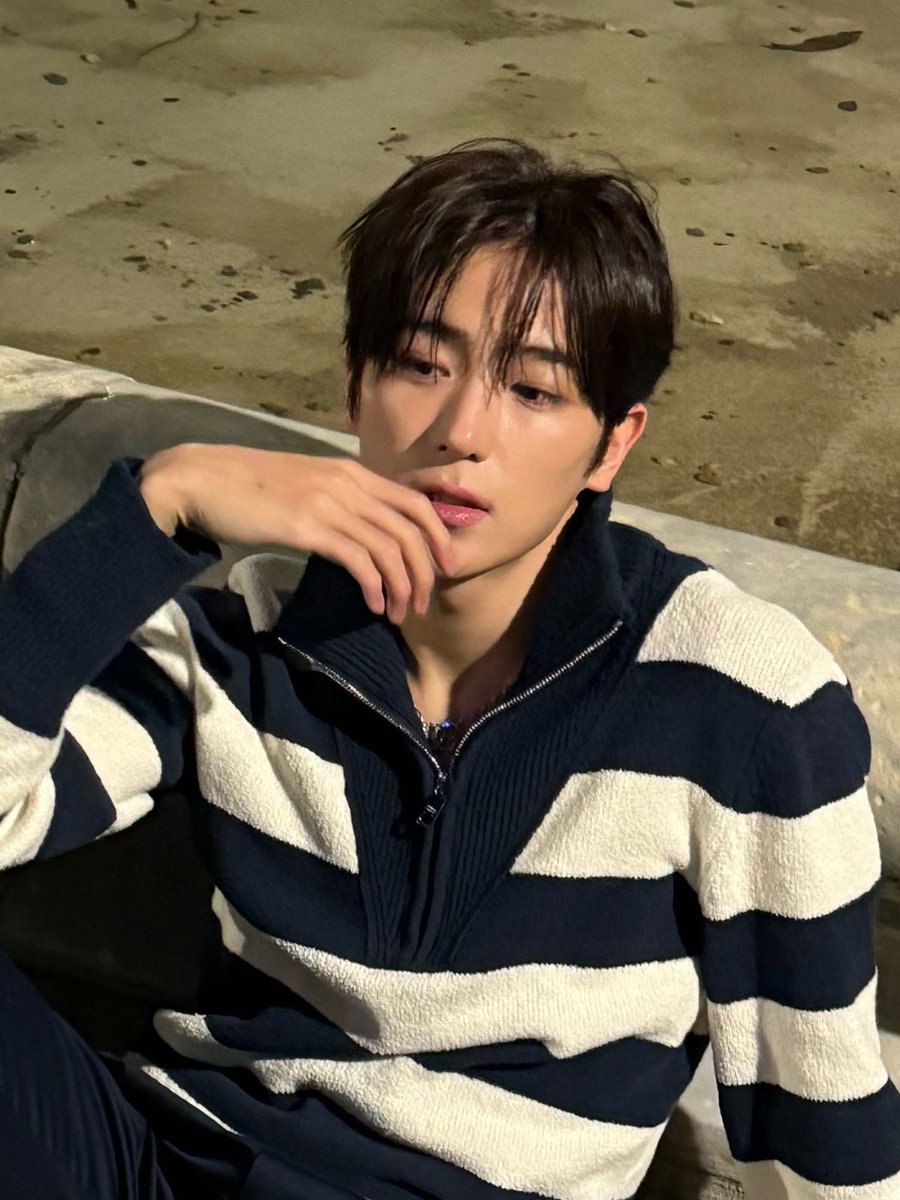stevie 스티비 tweet media