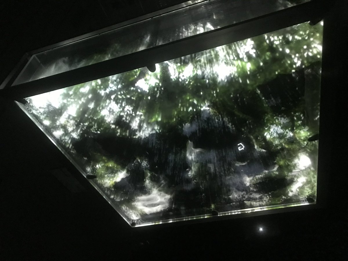 일구일 tweet media