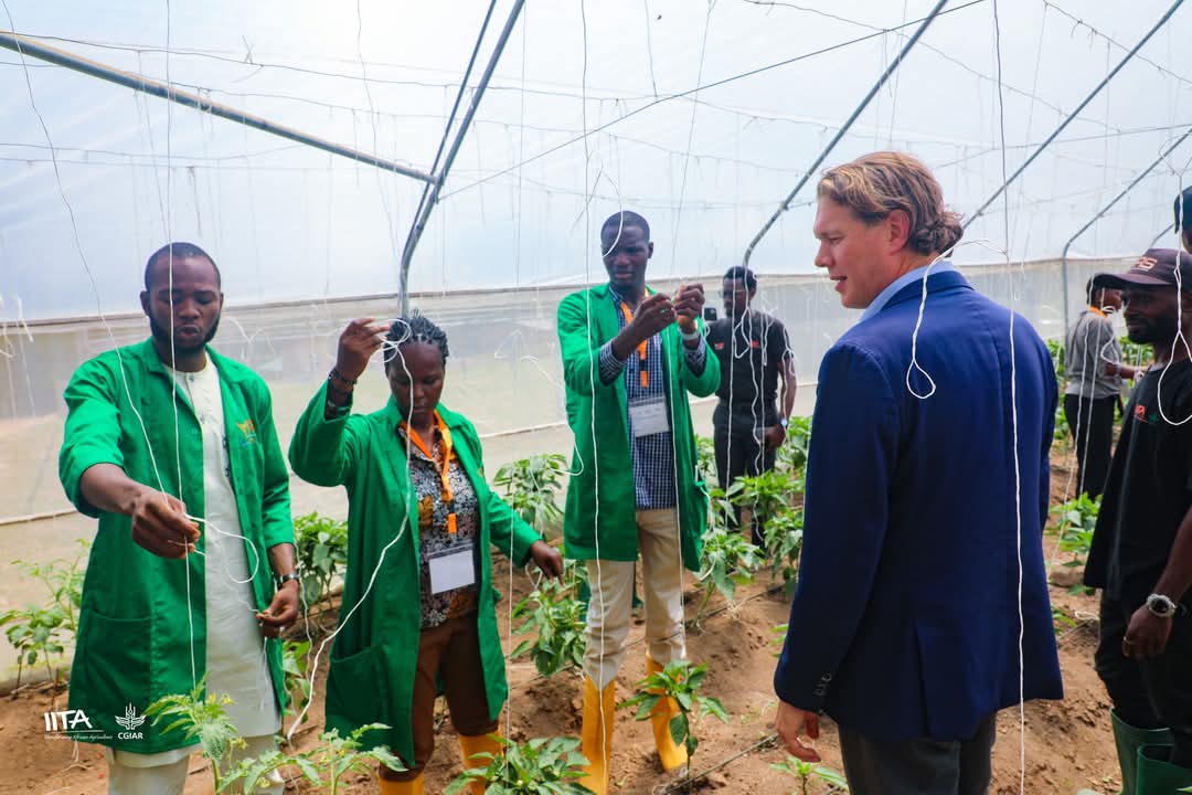 wazams's tweet photo. Engaged with Jurriaan Middelhoff, Ambassador for Youth, Education &amp; Work, during the Youth in Agribusiness program at International Institute of Tropical Agriculture.
Supported by the Kingdom of the Netherlands, strengthening youth-led agribusiness innovation. 🌱🌍 https://t.co/vBm1KjUG5P