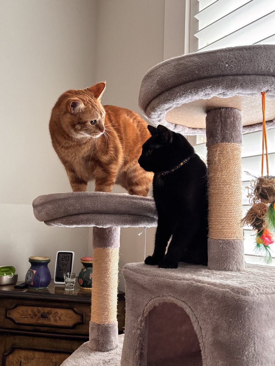 Stephen Morgan tweet media